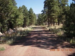 hiking at Pine Valley, Utah