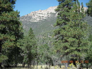 hiking at Pine Valley, Utah