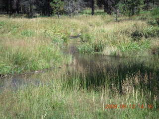stream - hiking at Pine Valley, Utah