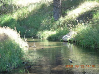 lake - hiking at Pine Valley, Utah