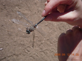 Dustin and garter snake - hiking at Pine Valley, Utah