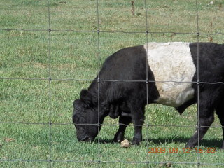 Marcelle driving Land Rover at Pine Valley, Utah