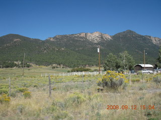 white-middle Belted Galloway cow at Marcelle driving Land Rover at Pine Valley, Utah