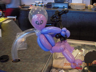 Philly pizza/hoagie place