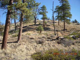 180 6nr. Bryce Canyon