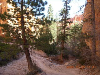 195 6nr. Bryce Canyon - Peek-A-Boo loop