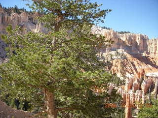 Bryce Canyon - Peek-A-Boo loop to Bryce Point