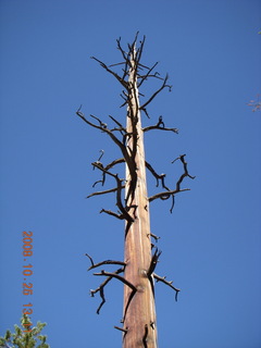 243 6nr. Bryce Canyon - Peek-A-Boo loop