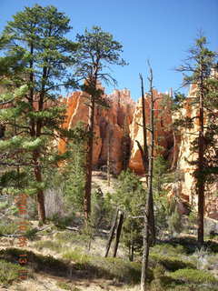 245 6nr. Bryce Canyon - Peek-A-Boo loop