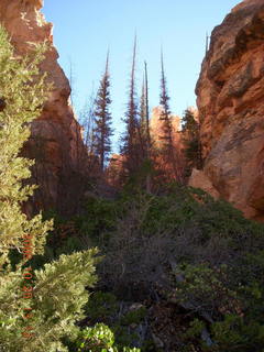 248 6nr. Bryce Canyon - Peek-A-Boo loop