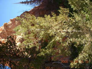 250 6nr. Bryce Canyon - Peek-A-Boo loop