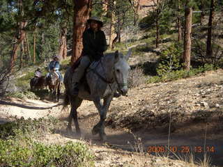 Bryce Canyon - horse and rider - Peek-A-Boo loop