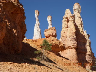 267 6nr. Bryce Canyon - Navajo loop trail