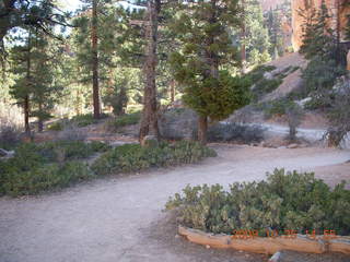 320 6nr. Bryce Canyon - Navajo to Queens Garden