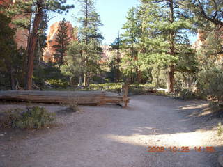 324 6nr. Bryce Canyon - Navajo to Queens Garden