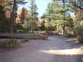 324 6nr. Bryce Canyon - Navajo to Queens Garden