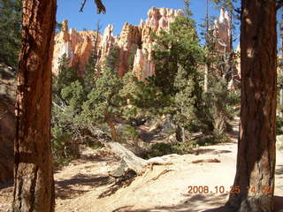 326 6nr. Bryce Canyon - Navajo to Queens Garden