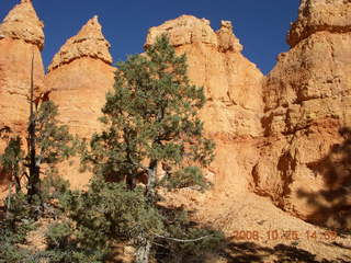 328 6nr. Bryce Canyon - Navajo to Queens Garden