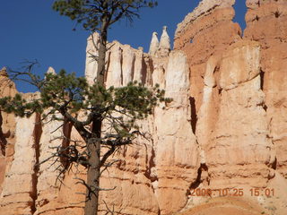 335 6nr. Bryce Canyon - Queens Garden trail