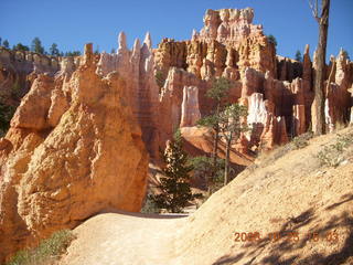 338 6nr. Bryce Canyon - Queens Garden trail