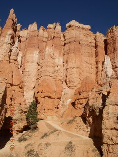 341 6nr. Bryce Canyon - Queens Garden trail