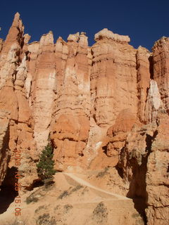 341 6nr. Bryce Canyon - Queens Garden trail