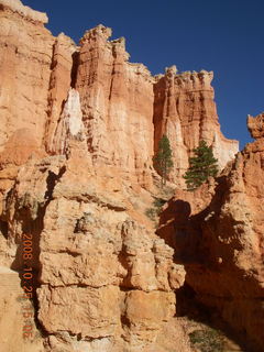 342 6nr. Bryce Canyon - Queens Garden trail