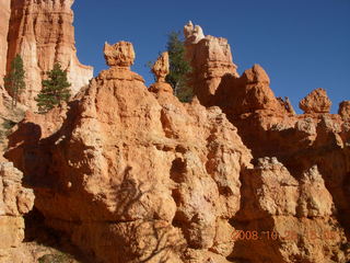 343 6nr. Bryce Canyon - Queens Garden trail