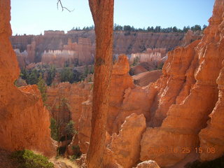 348 6nr. Bryce Canyon - Queens Garden trail