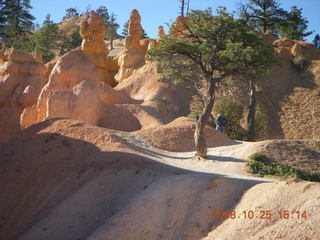 350 6nr. Bryce Canyon - Queens Garden trail