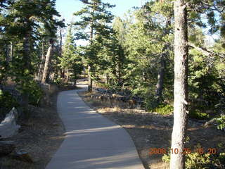 Bryce Canyon - buses