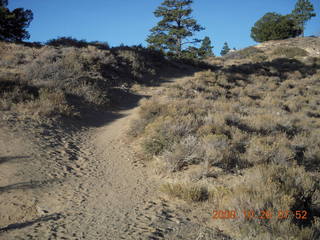 56 6ns. Bryce Canyon - rim trail from fairyland to sunrise