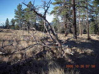 61 6ns. Bryce Canyon - rim trail from fairyland to sunrise