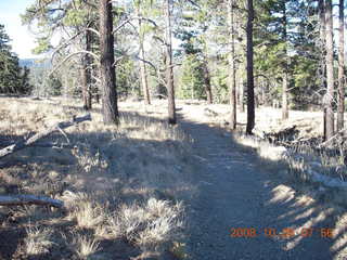 63 6ns. Bryce Canyon - rim trail from fairyland to sunrise