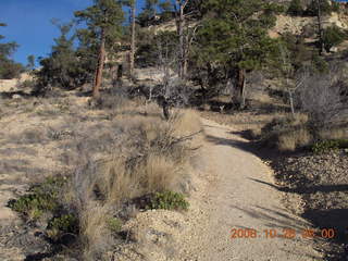 71 6ns. Bryce Canyon - rim trail from fairyland to sunrise