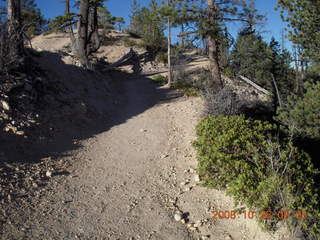 77 6ns. Bryce Canyon - rim trail from fairyland to sunrise