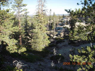 78 6ns. Bryce Canyon - rim trail from fairyland to sunrise