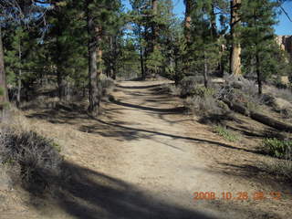 80 6ns. Bryce Canyon - rim trail from fairyland to sunrise