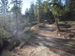 81 6ns. Bryce Canyon - rim trail from fairyland to sunrise