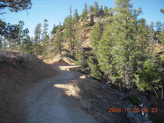 86 6ns. Bryce Canyon - Tower Bridge trail from sunrise