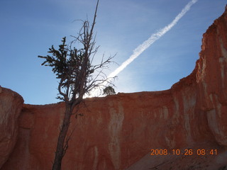 Bryce Canyon - Tower Bridge trail from sunrise