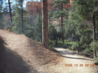 137 6ns. Bryce Canyon - Fairyland and Tower Bridge signs