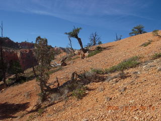 148 6ns. Bryce Canyon - Fairyland trail