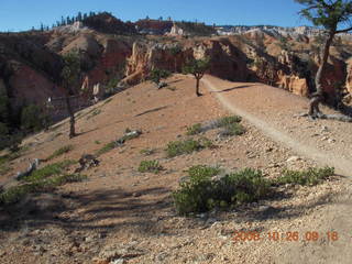 149 6ns. Bryce Canyon - Fairyland trail