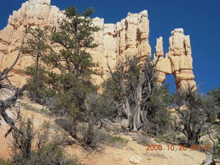 170 6ns. Bryce Canyon - Fairyland trail