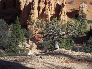 195 6ns. Bryce Canyon - Fairyland trail