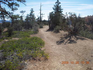 205 6ns. Bryce Canyon - Fairyland trail