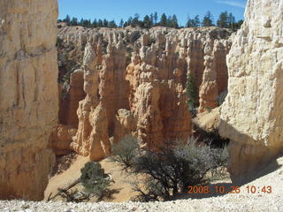 219 6ns. Bryce Canyon - Fairyland