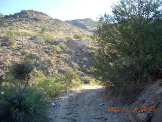 Bagdad run - Adam - back