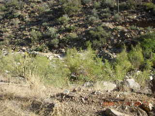 Bagdad run